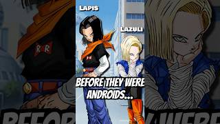 Who Were Androids 17 and 18 BEFORE They Were Androids? #dragonball  #dbz #dbzs