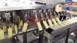 Dtb-880c Ice Cream Extrusion Frozen Tunnel Machine