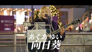 【あくあゆい】向日葵 - 新宿路上ライブ 2024.2.3