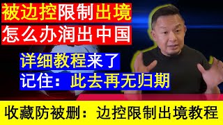 老王来了：被边控人员限制出境怎么办润出中国详细教程来了老王多次重复此去再无归期（20240823）｜老王的咸猪手