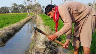 Agriculture Farming In Pakistan | Punjab Village Life