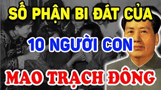 SỐ PHẬN BI ĐÁT Của 10 Người Con Mao Trạch Đông Khiến Cả Thế Giới Bất Ngờ ! | Triết Lý Tinh Hoa