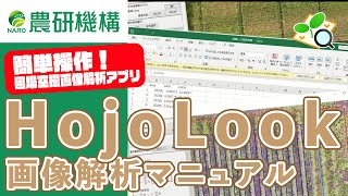 「HojoLook」による画像解析マニュアル