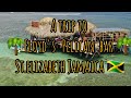 A trip to Floyd's Pelican Bar,St.elizabeth Jamaica-the coolest bar in the world🇯🇲🌴