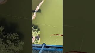 Bungee Jumping With Rope In Beautiful Place, :$ Asmr Bungee Jumping #shorts