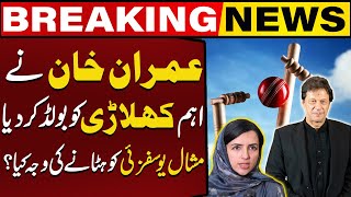 Why Mashal Yousafzai Removed From PTI ?? | Breaking News | Capital TV