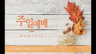 우뚝솟은교회 목사 이대원. 24.11.10. 주일예배실황