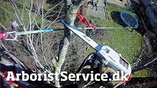 Tree removal using light rigging - Tree Climbing Arborist - Topkapning - Topkapper