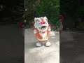 robot dance barongsai