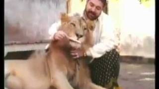 Teepu Pehlwan (Late) TruckanWala Lahore With his Lion