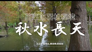 秋水長天 - 王芷蕾,張雨生,陳淑樺;黃鶯鶯 (苗栗落羽松秘境 2024.12.13)