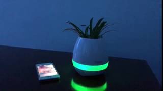 Smart flower and plant pot with bluetooth speaker