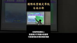 台南翡翠玉石鑑定教學丨天然翡翠跟馬來玉怎麼分辨？(上) #shorts #翡翠 #玉石