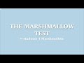Marshmallow Test