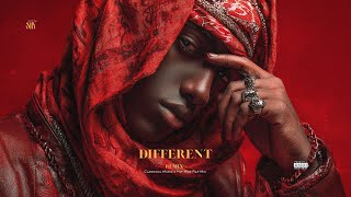 Different Remix | SNX