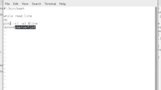 shellscript if while tutorial