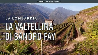 La Valtellina secondo Sandro Fay | Tannico