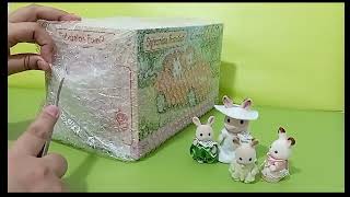 淘宝开箱 Taobao Haul | Unboxing Sylvanian Families Convertible Car [#5227]