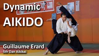 Dynamic Aikido - Guillaume Erard 5th Dan Aikikai
