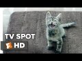 Keanu TV SPOT - How Far? (2016) - Keegan-Michael Key, Jordan Peele Movie HD