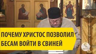 Почему Христос позволил бесам войти в свиней? Священник Олег Стеняев