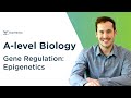 Gene Regulation: Epigenetics | A-level Biology | OCR, AQA, Edexcel