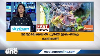 അന്‍റാര്‍ട്ടിക്കയില്‍ പുതിയ ഇനം സസ്യം കണ്ടെത്തി | പ്രധാന അന്തര്‍ദേശീയ വാര്‍ത്തകള്‍ കാണാം | Fast News