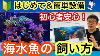 【基礎編】海水魚の1番簡単な飼い方 海水魚飼育の基本をプロが解説します!