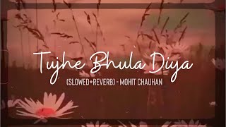 Tujhe Bhula Diya (Slowed+Reverb) - Mohit Chauhan | Lyrics | Aesthetic Compilation | MoonVibes