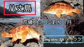 八丈島「磯釣り場」イデサリ編 アカハタのぶっこみ釣り