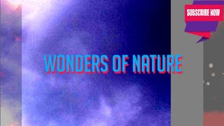 Wonders of nature | Gayatri Naik