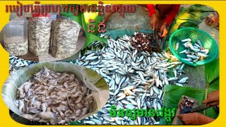 របៀបធ្វើប្រហុកឲ្យមានក្លិនឈ្ងុយ និងមិនឲ្យមានដង្កូវ😍