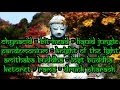 All Filipe Santos' a.k.a Lost Buddha Projects Mix (Acid, Goa Trance, Nitzhogoa)