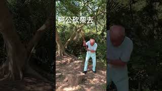 阿公示範真正露營從用斧頭砍柴開始 #glamping #camping #キャンプ #薪割り