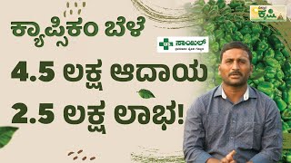 4.5 ಲಕ್ಷ ಆದಾಯ2.5 ಲಕ್ಷ ಲಾಭ! | ಕ್ಯಾಪ್ಸಿಕಂ ಬೆಳೆ | Capsicum Farming In Kannada | Vistara Krishi