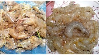 గోదావరి రొయ్యలు సులువుగా వలవటం ఏలా | How Peel Godavari Prawns