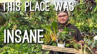 Cheap Uncommon Houseplants! Insane Plant Shop Green Gate Nursery Texas 2025 Plant Shopping!