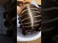 little girl hairstyles hair style for baby girl