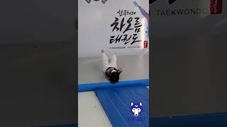 초등학생도 백덤블링(쭈가리) 잘 도는 법, 뒤 공중 회전 KOR🇰🇷 BlueWolf Taekwondo #블루울프 #태권도 #bluewolf #taekwondo