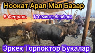 Ноокат Арал Мал Базары Только Эркек Торпоктор Баасы  170 мин соода болду