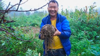 贵州特色秘制魔芋豆腐，玉平配方比例毫无保留，家家必备下饭神器