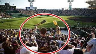 海外の反応 日本の野球はすごい楽しい！甲子園で阪神タイガースの応援団なった米国人の体験談に外国人感動！世界から見た日本の評価