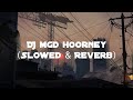 DJ MGD HOORNEY (SLOWED & REVERB)