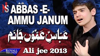Ali Jee | Abbas E Ammu Janum | 2014 | عباس اعمو جابم