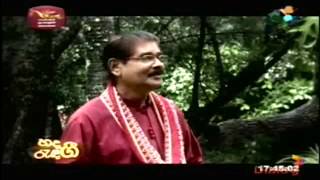 Mal Pipila මල් පිපිලා..  - Dayarathna Ranathunga | Sinhala Songs Listing
