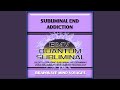 Subliminal Addiction Aid - Ocean Soundscape Track