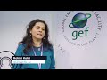 catalyzing transformation gef at unfccc cop24