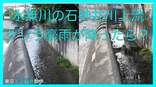 ゲリラ豪雨！普段は水無し川の石神井川（しゃくじいがわ）上流はどうなる？