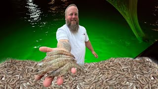 The SECRET to Catching 1000’s of SHRIMP at Night | Catch Clean Cook |  New Orleans Barbecue Shrimp