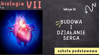 Biologia 7 [Lekcja 16 - Budowa i działanie serca]